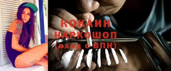 прущие грибы Кинешма