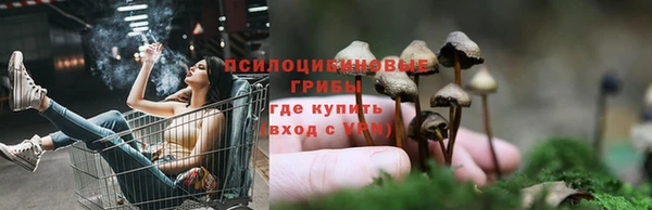 прущая мука Киреевск