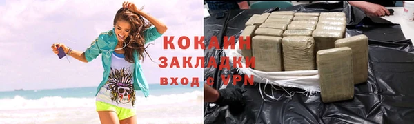 прущие грибы Кинешма