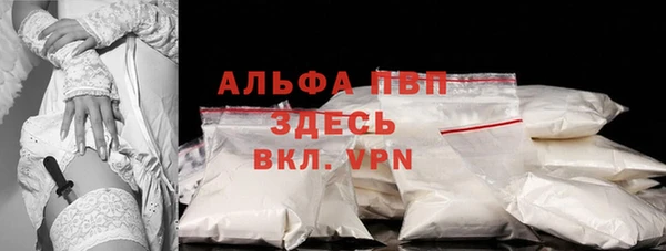 прущие грибы Кинешма