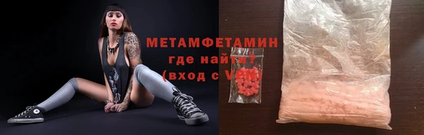 прущие грибы Кинешма
