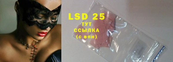 прущие грибы Кинешма