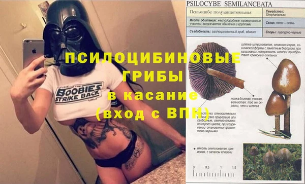 прущая мука Киреевск