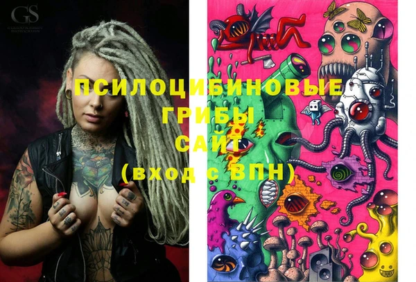прущие грибы Кинешма