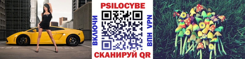 Галлюциногенные грибы Cubensis  Купить  Тверь 